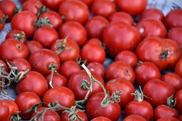 Rote Tomaten