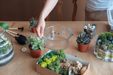 Unrecognized woman florist prepares a glass pot for a florarium.