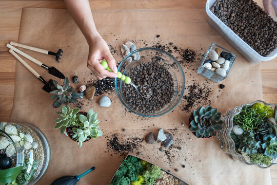 Unrecognized woman putting expanded clay drainage in a glass florarium.