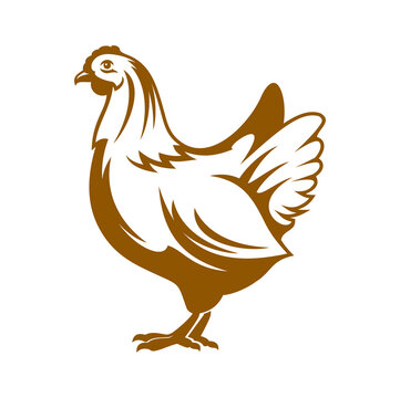 Hen icon. Chicken farm and poultry. Organic farming and agriculture vector symbol, meat and eggs products market or grocery store graphic label, icon with isolated hen bird, broiler chicken