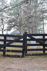 Wooden gate locked with metal chain and padlock