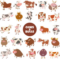 cartoon funny cows and bulls farm animals big set