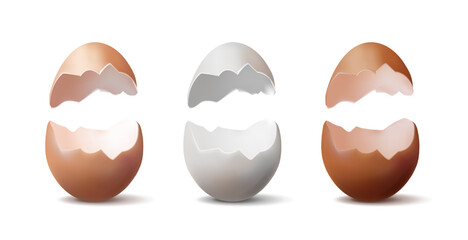 3d realistic vector icon illustration. Set of brocken eggs in white, light brown and brown color.