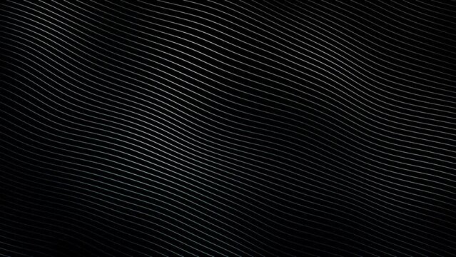 Black and white abstract wavy and curvy lines pattern seamless loop copy space background animation. Slow motion.