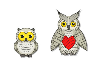Couple of cute owls birds