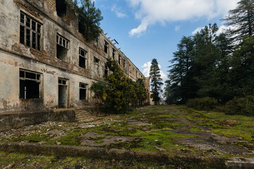 Overgrown by plants abandoned ruined houses at ghost-town. Green post-apocalypse concept