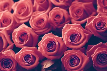a bunch of roses filling the image made with generative AI