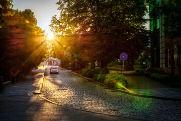 wiosenny słoneczny poranek w mieście z brukowaną starą ulicą i zielonymi drzewami - obrazy, fototapety, plakaty