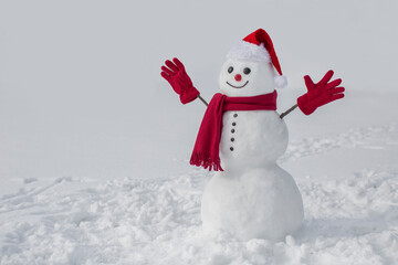 Snowman isolated on a white snowy background
