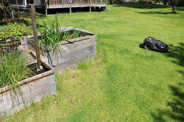 Robotic lawnmower and raised beds in the garden, Sweden - 562237138