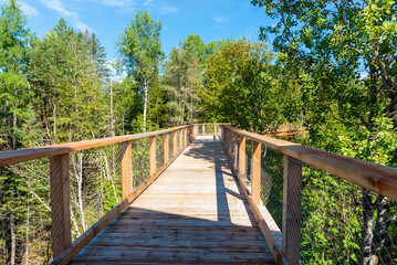 Fototapeta na wymiar Wooden elevated boardwalk in the Laurentian boreal forest, Quebec, Canada