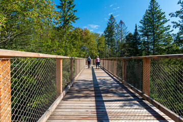 Wooden elevated boardwalk in the Laurentian boreal forest, Quebec, Canada