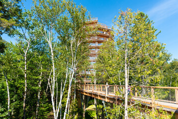 Wooden elevated boardwalk and tower in the Laurentian boreal forest, Quebec, Canada