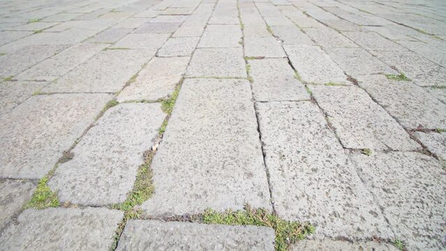 Tiny green grass sprouting through narrow crevices of old grey slabs of big city pavement as background Venice Italy closeup