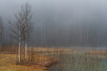 Misty Pond
