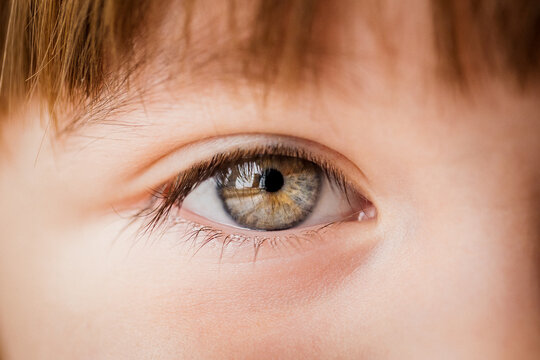ojos azules macro de un ni&ntilde;o