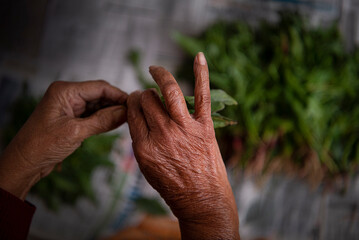 Old woman pinching greens with hand 