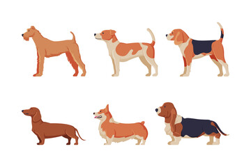 Dogs of different breeds set. Side view of purebred pet animals cartoon vector illustration
