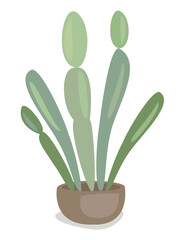 Potted plant in a pot. The green cactus epiphyllum is spherical with tubercles covered with spines. Mammillaria, hymnocalicium. Lovely hobby for collectors of cacti. Vector illustration.