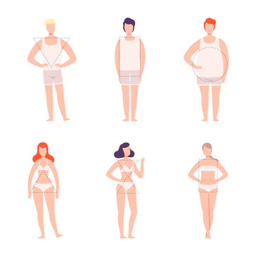 Set of male and female body shape types. Women and men in underwear with various figure type cartoon vector illustration