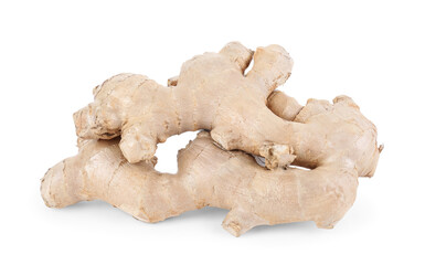 Fresh ginger roots on white background