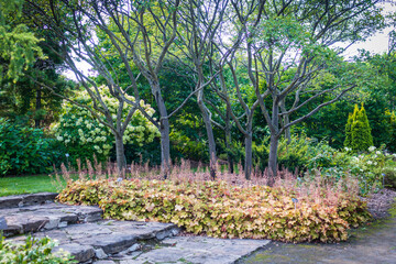 trees, ground cover, flowers