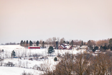 snow mountain village, forest