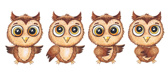 Fototapeta premium Watercolor cute funny owls. Toy style forest bird illustration. Decorative, children's cartoon illustration, print or sticker