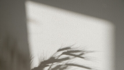 Monochrome background with dry grass and shadows on the wall