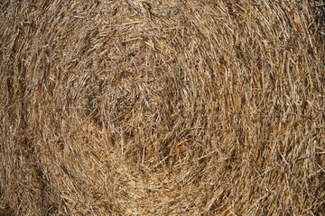 Strohballen im Winter