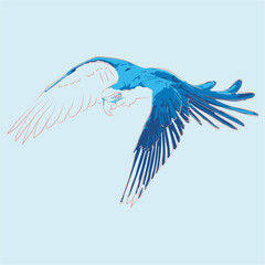 animal vector for blue macaw prints