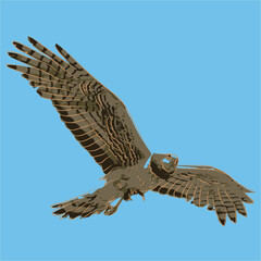 
animal vector for hawk prints