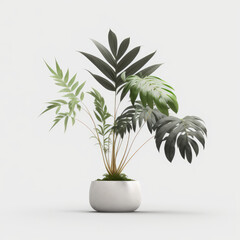 Fototapeta na wymiar Realistic minimalistic houseplant in flowerpot on white background. Generative AI