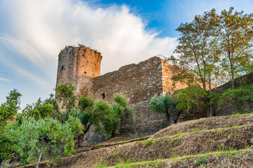 Fototapeta na wymiar Medieval Aldobrandeschi Castle (