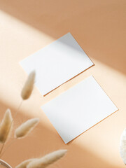 Two blank white cards, dry flowers on beige background