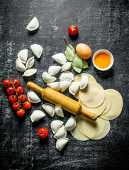 Rolled out dough and raw dumpling.