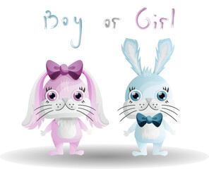 Cartoon bunnies kids blue boy and pink girl with bow for gender party. Lettering boy or girl. Choice of boy or girl. Find out the gender of the baby.