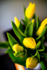 Naklejka premium Yellow Tulip Bouquet in Warm Sunlight on Table