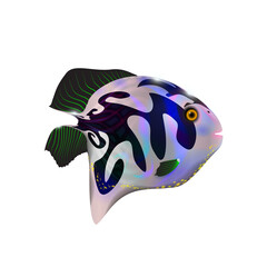 Glossy blue little 3d fish. Cartoon funny sea animal. Marine stock optimized from to be used in aqua banners design, happy cartoon character. png