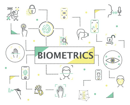 Biometrics line set. Collection of graphic elements for website, poster or banner. Personal data, security, safety and protection. Cartoon flat vector illustrations isolated on white background