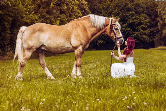 red haired woman with white dress sit on green pasture next to brown horse and look romantic to the face of the haflinger to show the close relationship and cute friendship of animal and owner