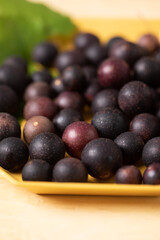 Close Up of Muscaadine Grapes