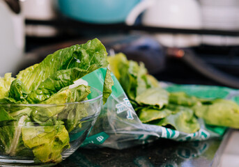 Lechuga