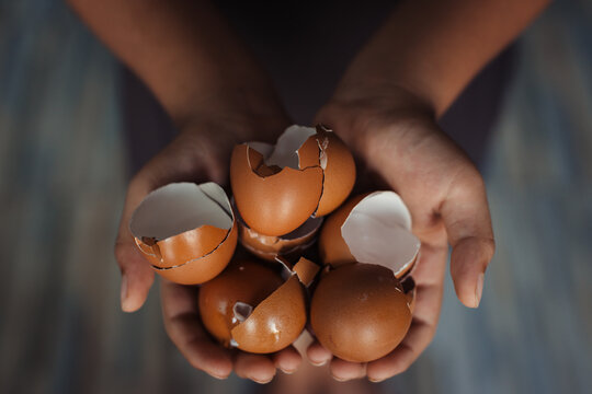 Holding eggshell in hand