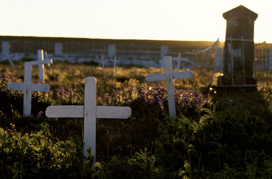 Environmental Woes of Tierra del Fuego -- Indigenous Extinction