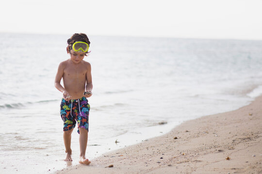 Boy carrying seashell at shore