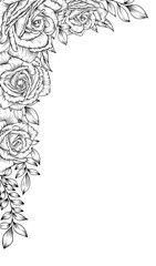 outline rose flower frame border decoration