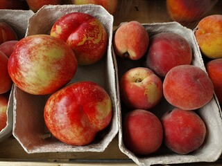 Pfirsiche und Nektarinen in Schalen