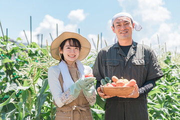 農業・農家・家庭菜園をするアジア人男女（野菜）
