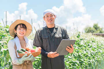 タブレットPCで農業の管理をするアジア人の男女（男性・女性）
